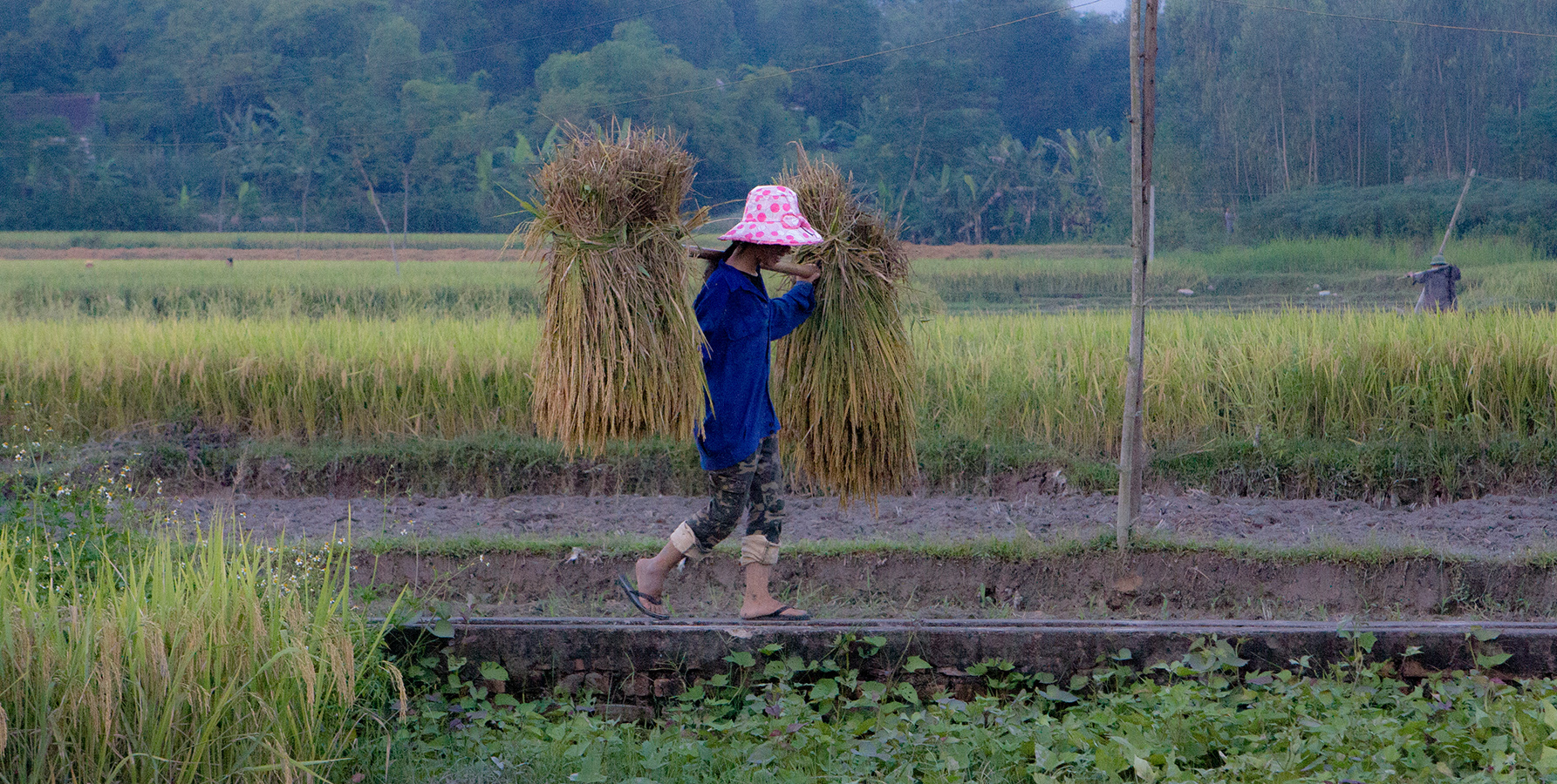 Ha Chiang   Retour Hanoi   011